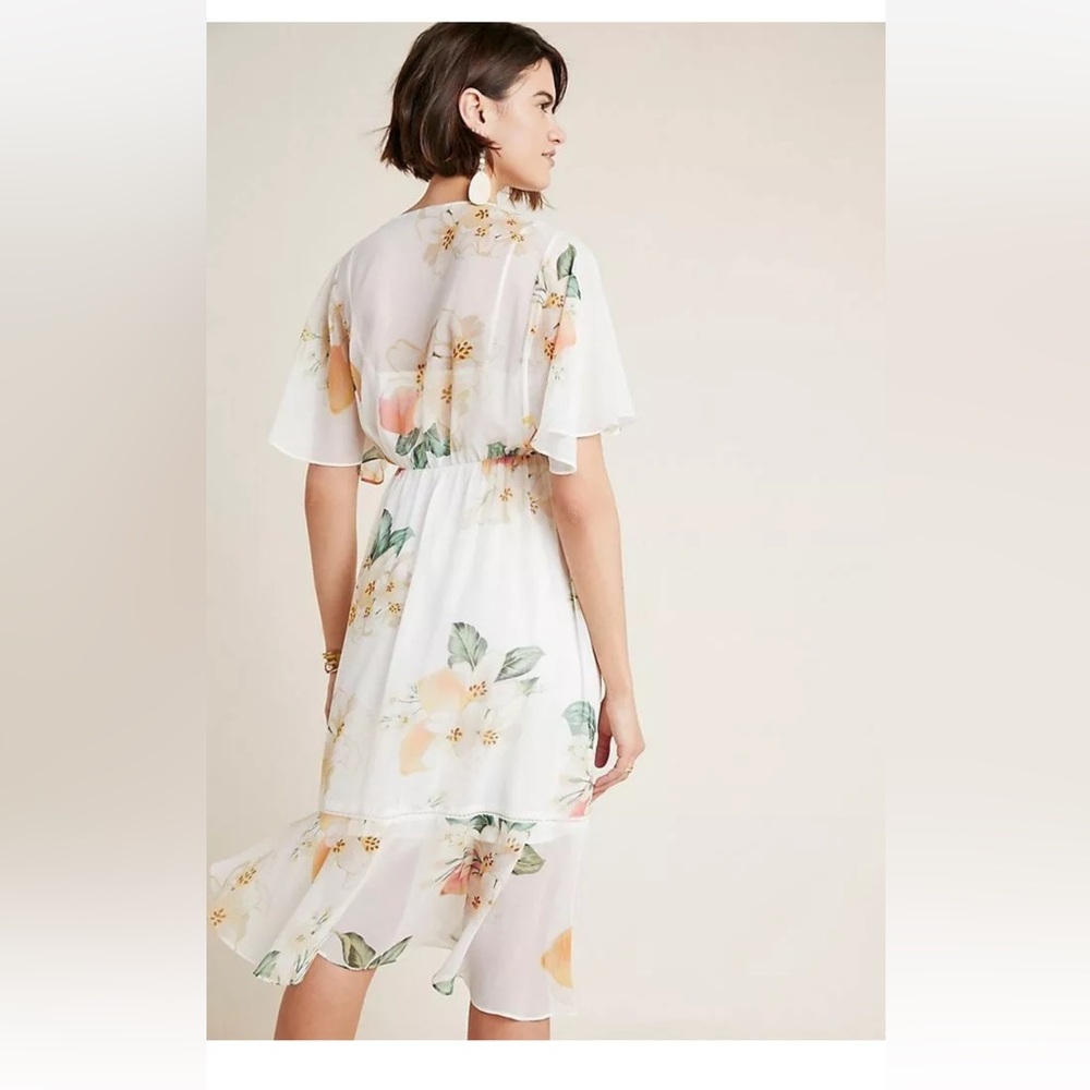 Farm Rio Eloisa Sheer Floral Dress Empire Waist size Small MSRP $280 - Picture 2 of 8